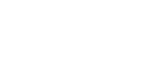 bdz Bauwerksdiagnostik